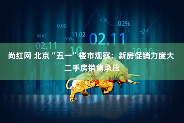 尚红网 北京“五一”楼市观察：新房促销力度大 二手房销售承压