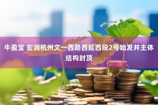 牛盈宝 宏润杭州文一西路西延西段2号始发井主体结构封顶