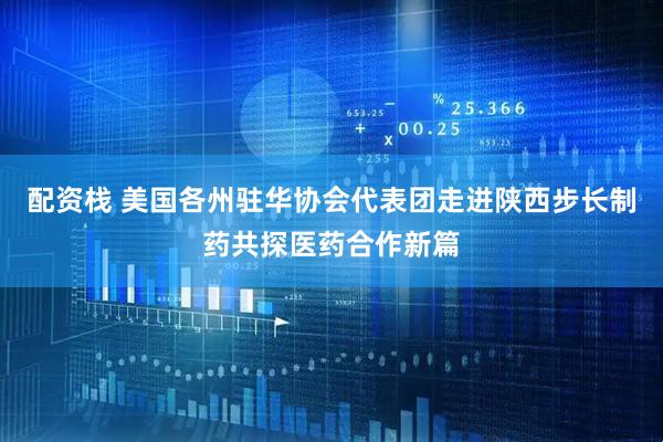 配资栈 美国各州驻华协会代表团走进陕西步长制药共探医药合作新篇