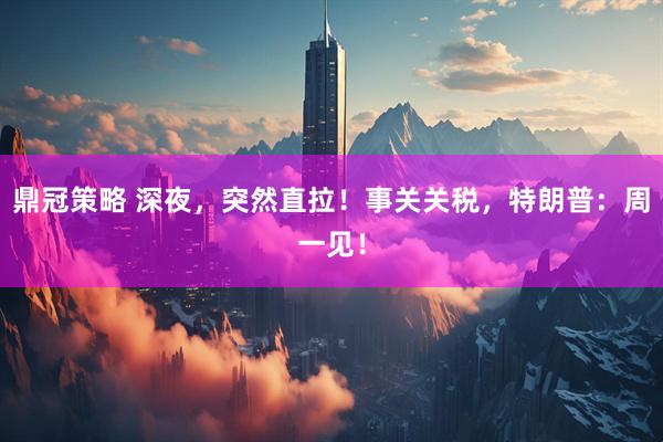 鼎冠策略 深夜，突然直拉！事关关税，特朗普：周一见！