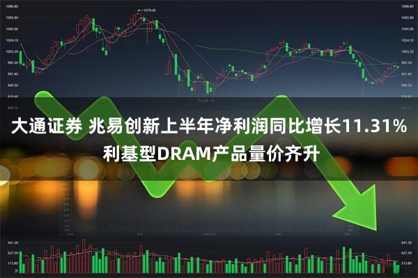 大通证券 兆易创新上半年净利润同比增长11.31% 利基型DRAM产品量价齐升